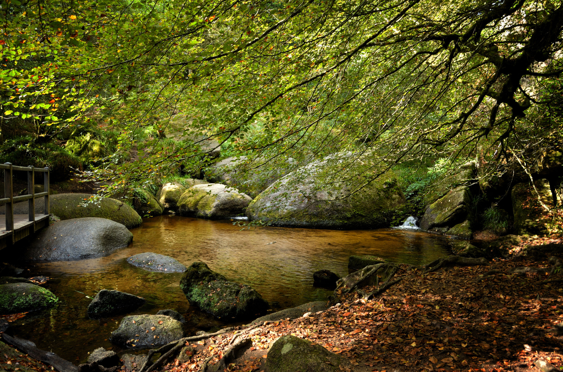 La foret d'Huelgoat, le lac aux Fées, la grotte du diable